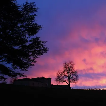 Chateau De Vigouroux *