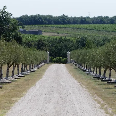 Chateau De Vigouroux Affittacamere Massugas