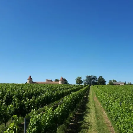 Chateau De Vigouroux