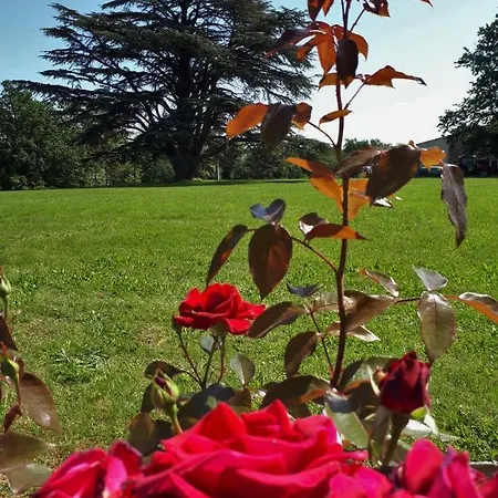 Chateau De Vigouroux * Massugas
